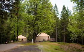 Yosemite Lakes Hillside Yurt 1